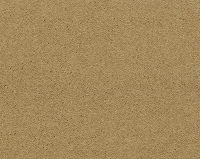 Bonaparte Montana tapijt I kleur 472 Zand