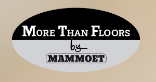 Logo More than Floors
